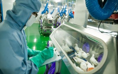 新舊動能轉換新引擎 市北生物技術研發中心投入使用，科技創新集聚效應初顯